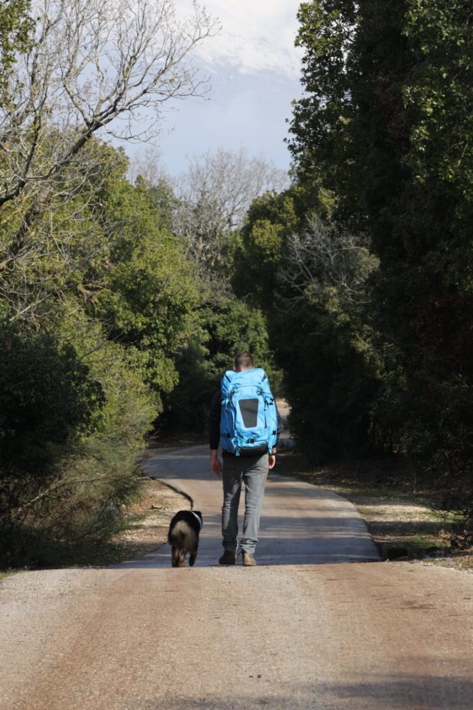 502121bd-219b-432b-90f2-03acaa8afceb