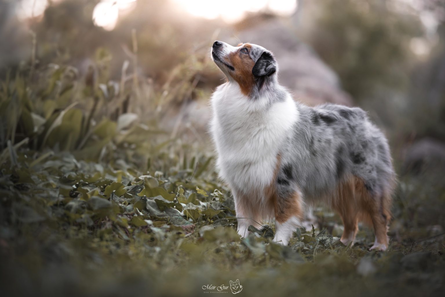 Female-Brenda-2-1536x1025