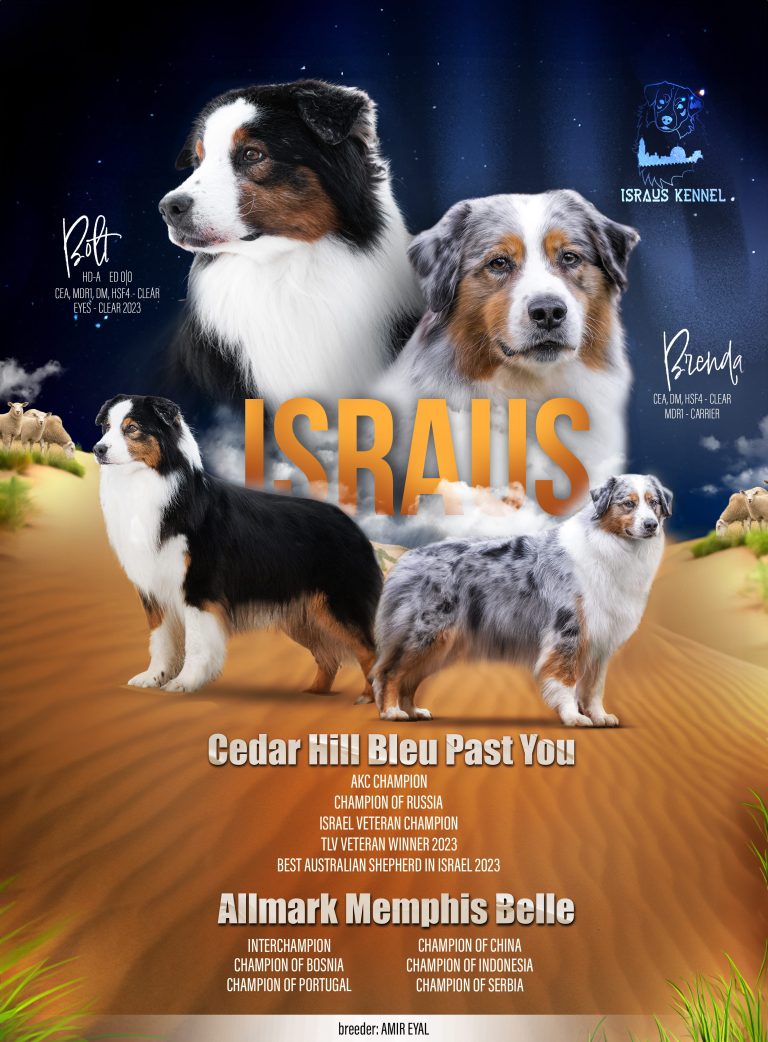 LitterB-Brenda and Bolt